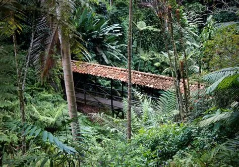  Jardín Botánico de Armenia: Renkli Bitki Dünyası ve Yemyeşil Bir Vaha!