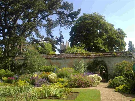 Oxford Botanic Garden – Güzel Bir Botanik Cennetinde Gezintiye Çıkın!