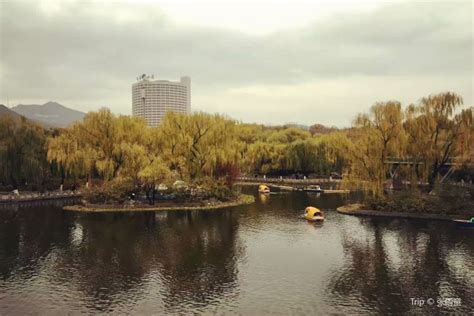 Quancheng Parkı Şehrin Kalbinde Tarih ve Doğa Harikaları Sunuyor!